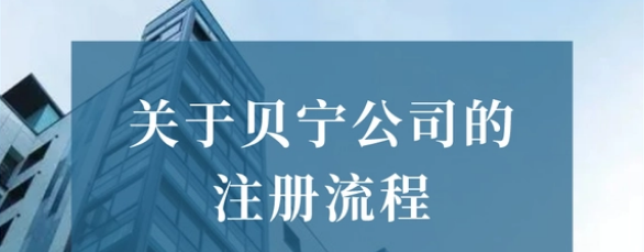 注冊(cè)貝寧公司的資料有哪些？可以注冊(cè)的公司形式有多少？