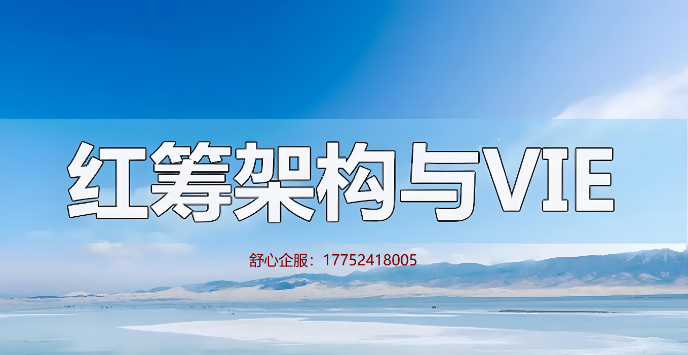 追溯至最終實(shí)際控制人的投資主體股權(quán)架構(gòu)與VIE的區(qū)別