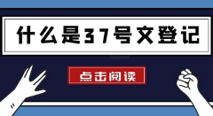 什么是37號文登記