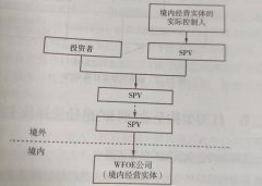 股權控制類(lèi)和VIE協(xié)議控制類(lèi)紅籌架構的概述